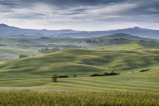 sinuosità collinari in Val d'Orcia