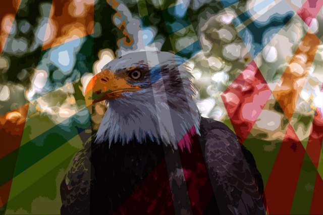 Eagle