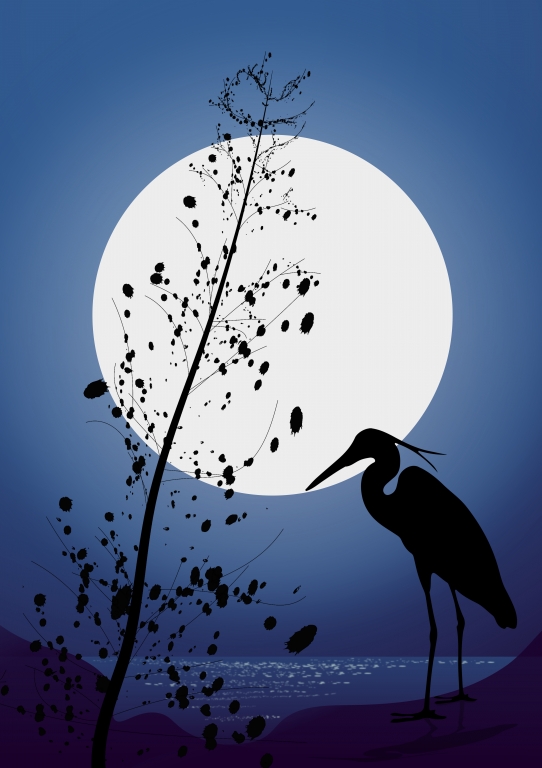 Dreaming Night