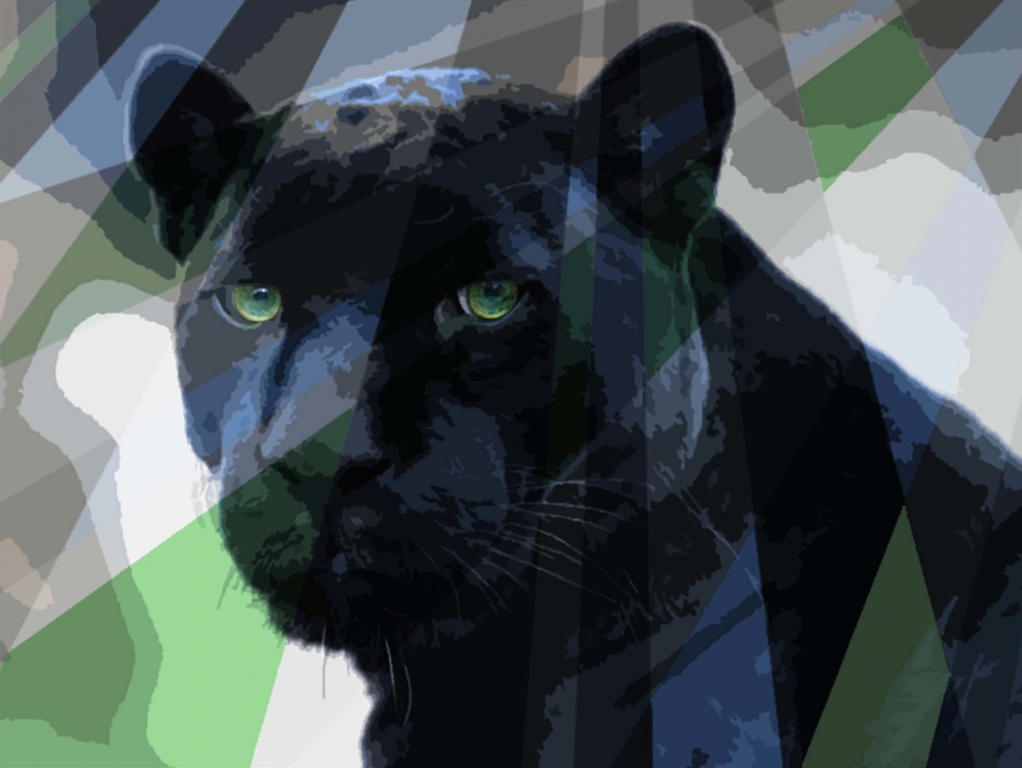 Panter