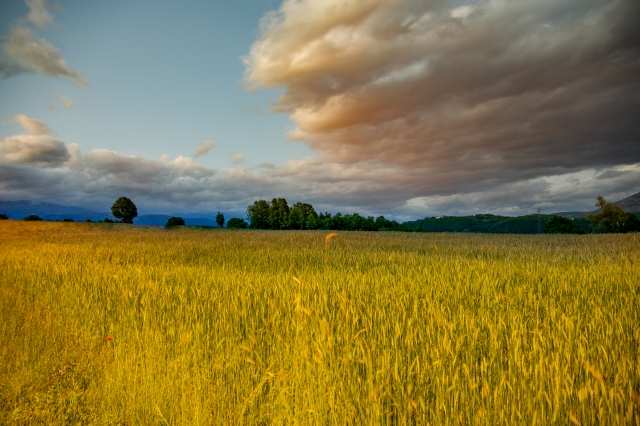 tramonto
