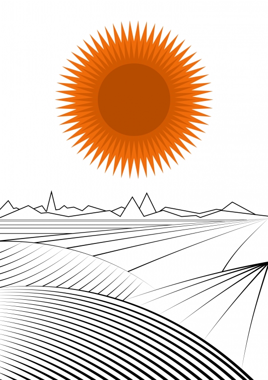Sunfield