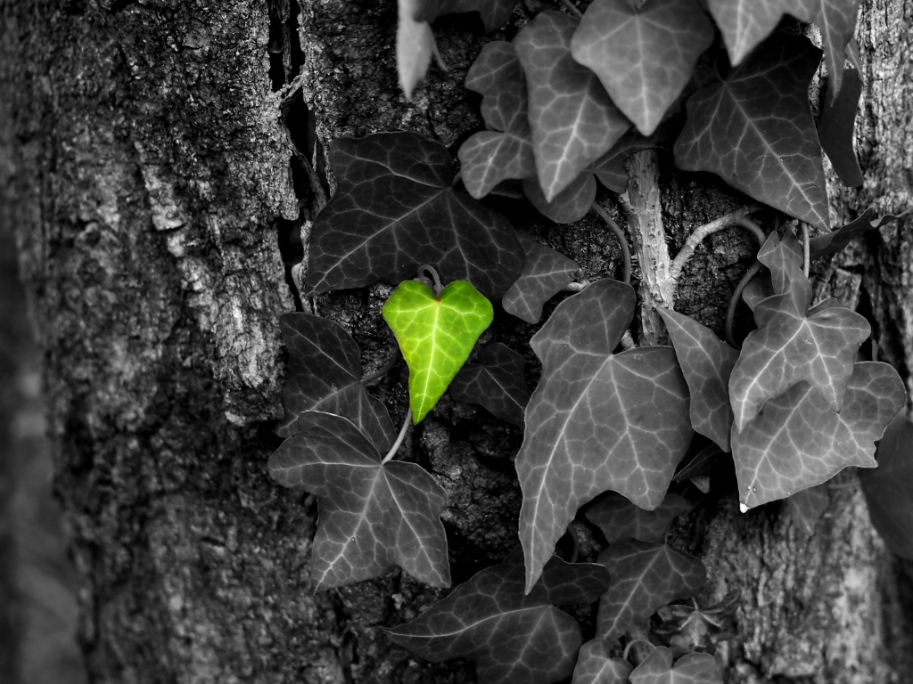 Amore per la natura