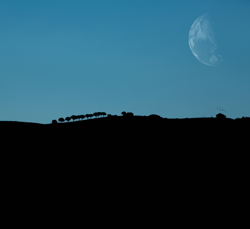 MOONLOOP
