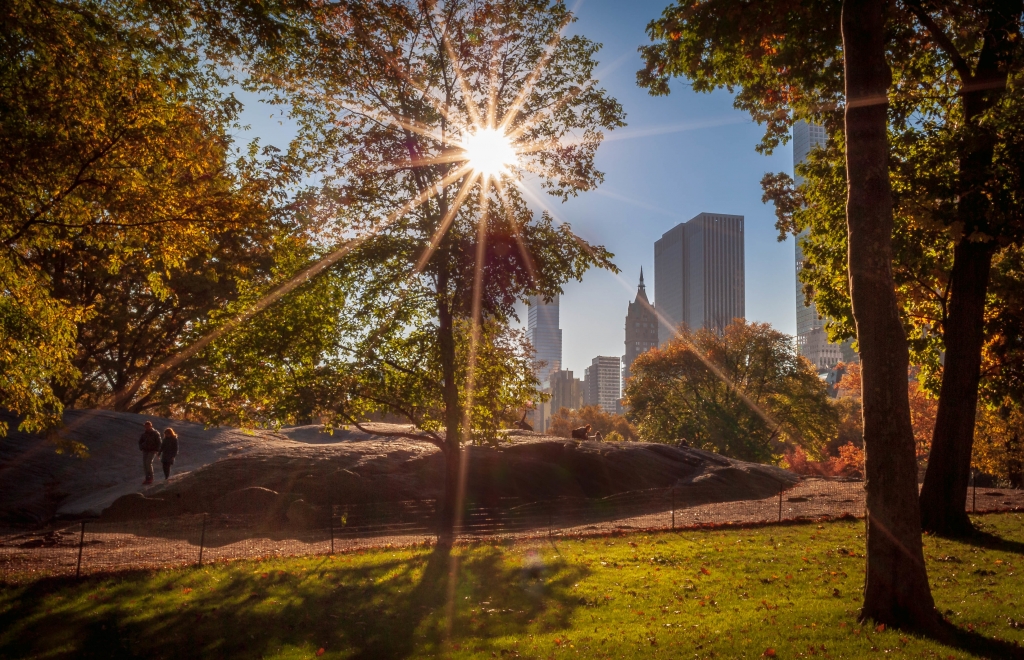 Central Park
