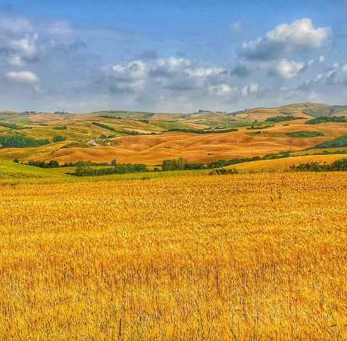 Estate toscana