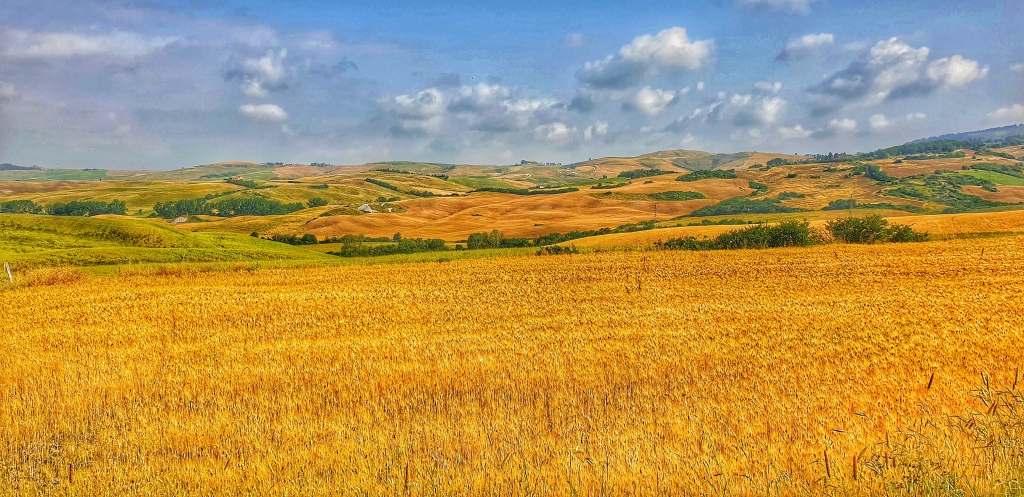 Estate toscana