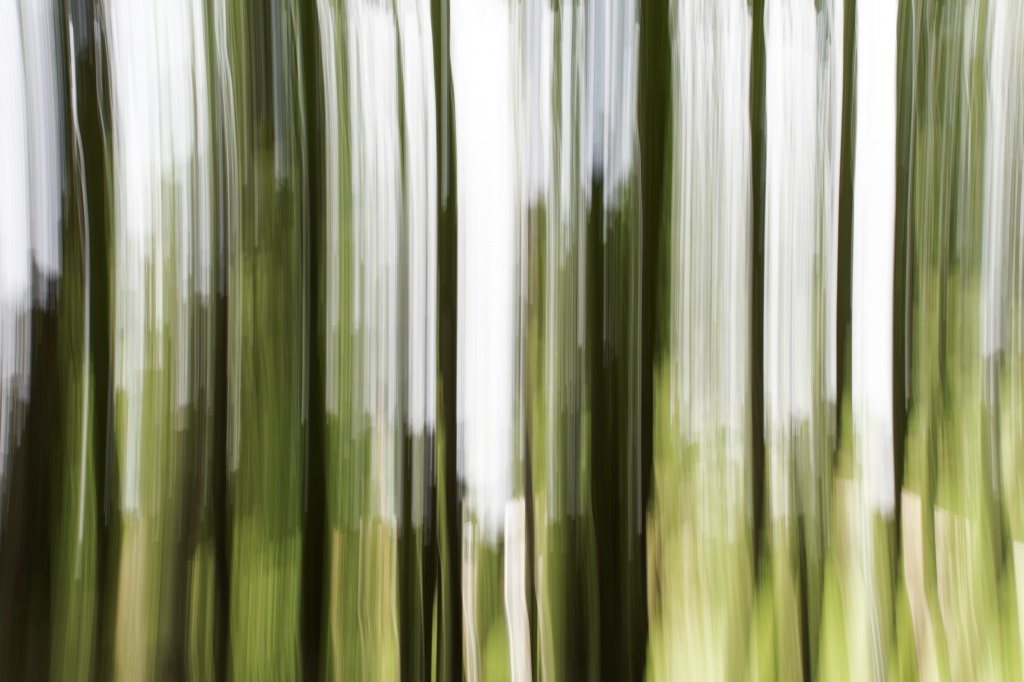 visione onirica #2