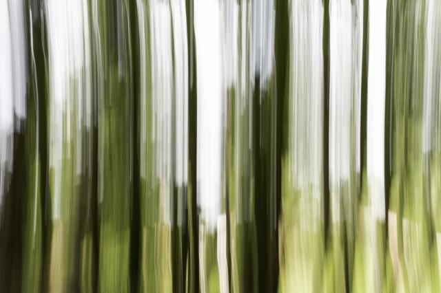 visione onirica #2
