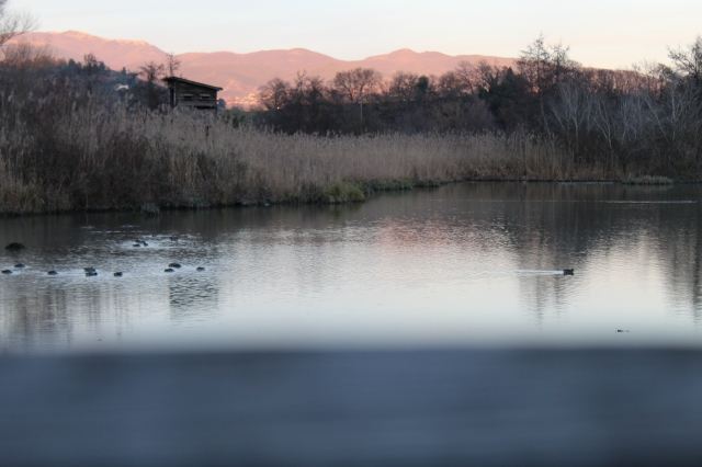 Lungo la sponda del Tevere
