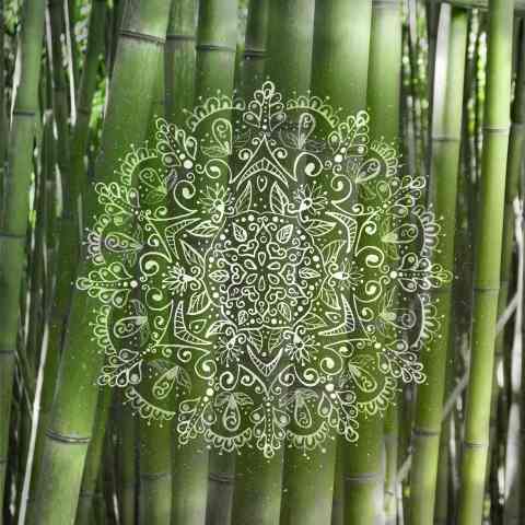 Bamboo Mandala