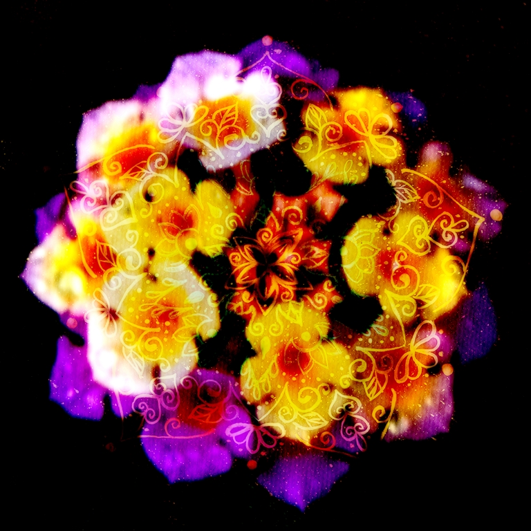 Red flower mandala