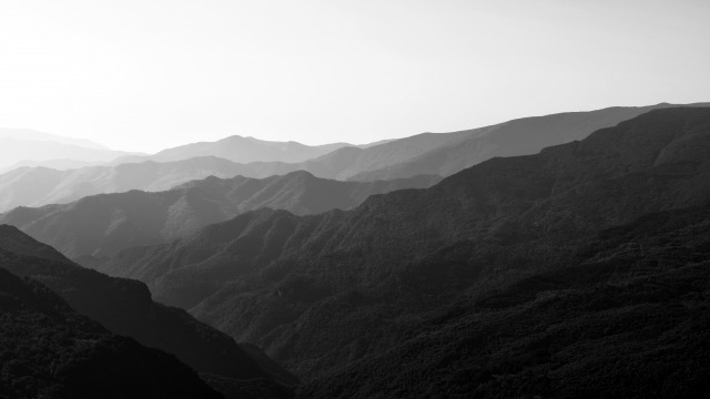 gradienti di nero #2 · gaetaf