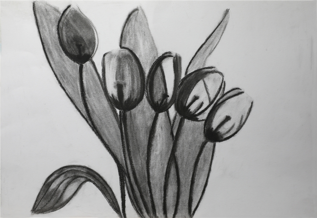 Tulipani di luce