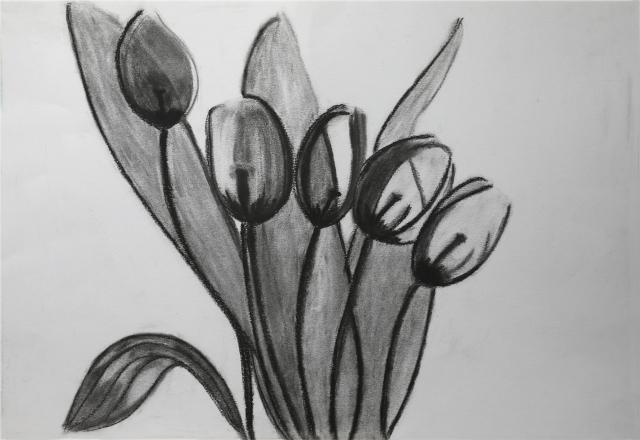 Tulipani di luce