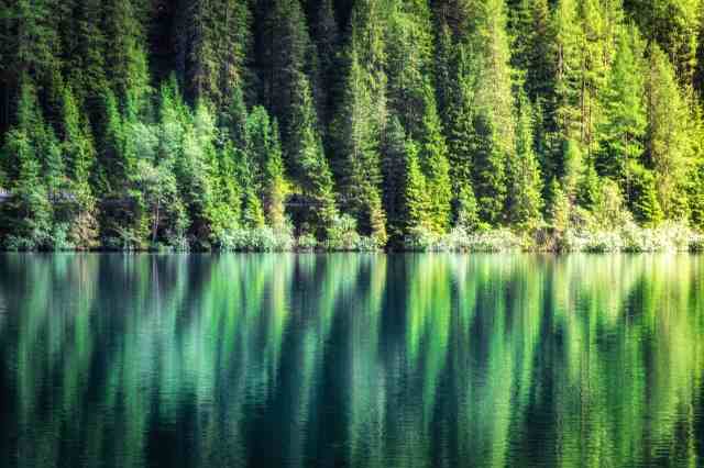 riflessi sul lago