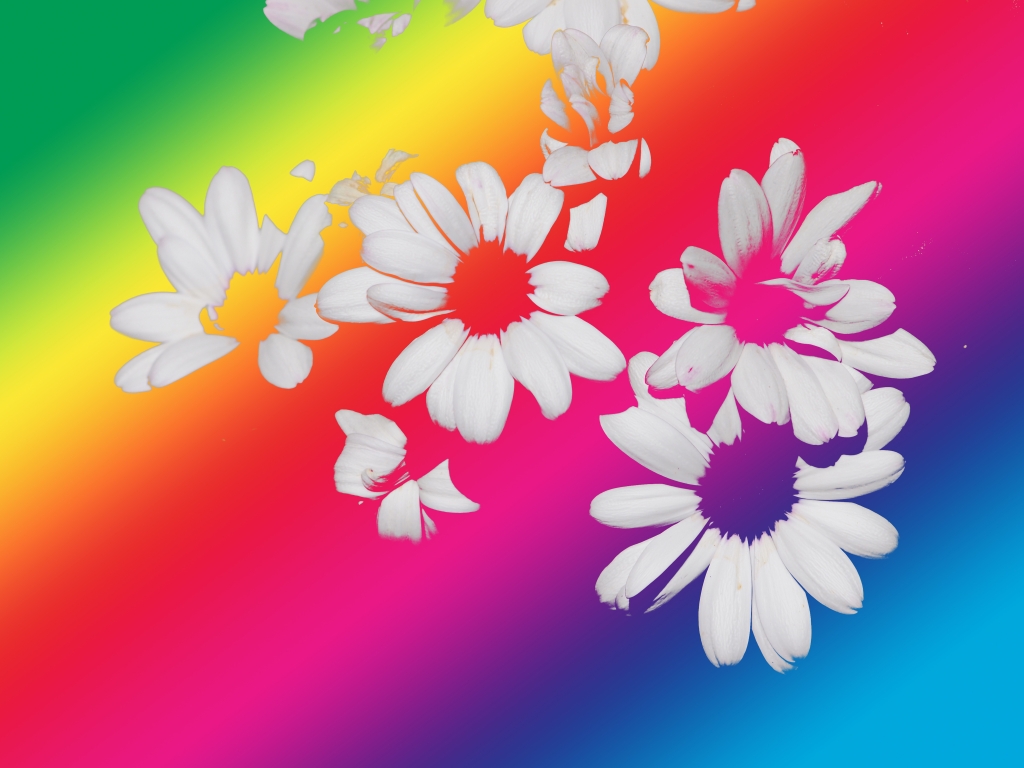 Fiori fantasma