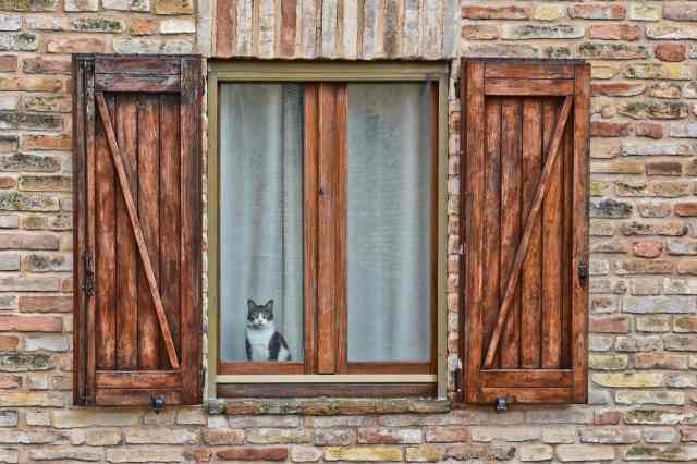 Un osservatore attento