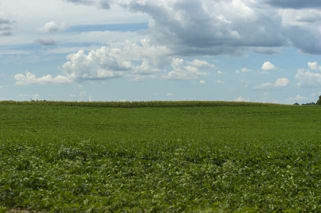 Campagna verde