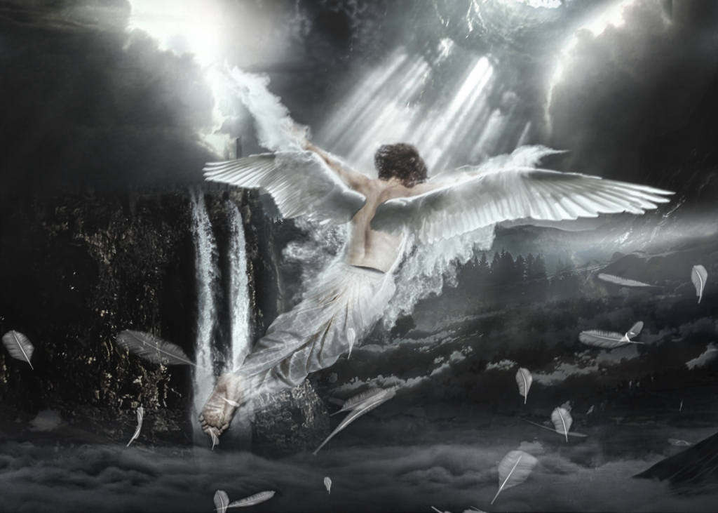 In volo
