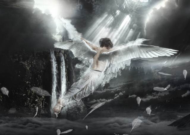 In volo