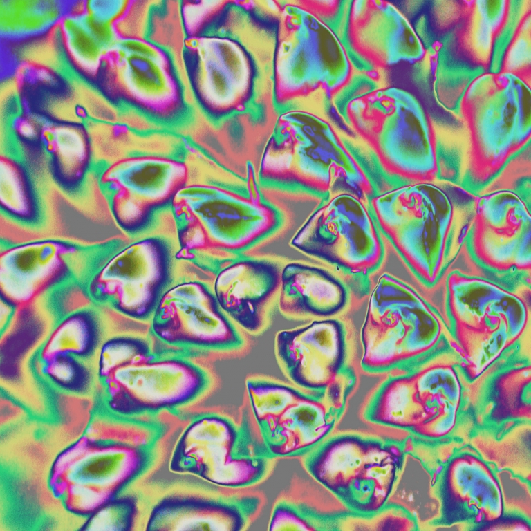 Liquido nematico