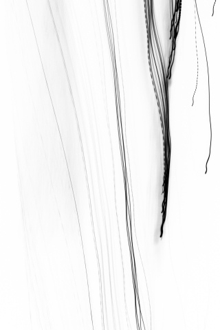 Speed2 · eugeniacarossa
