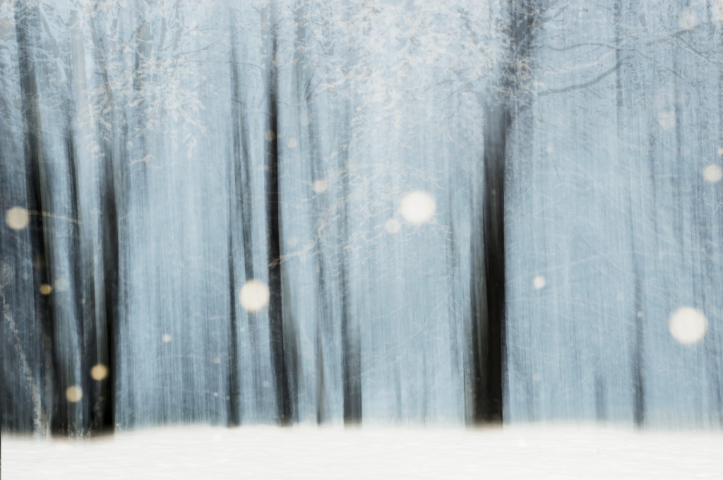 Nevicata