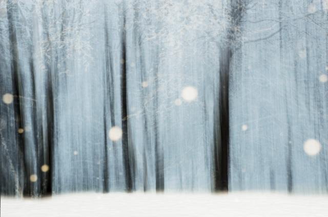Nevicata