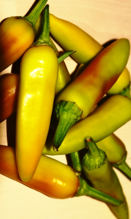 yellow hot chili peppers