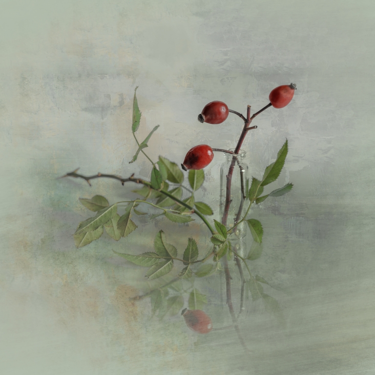 Dogrose with leaves in a vial