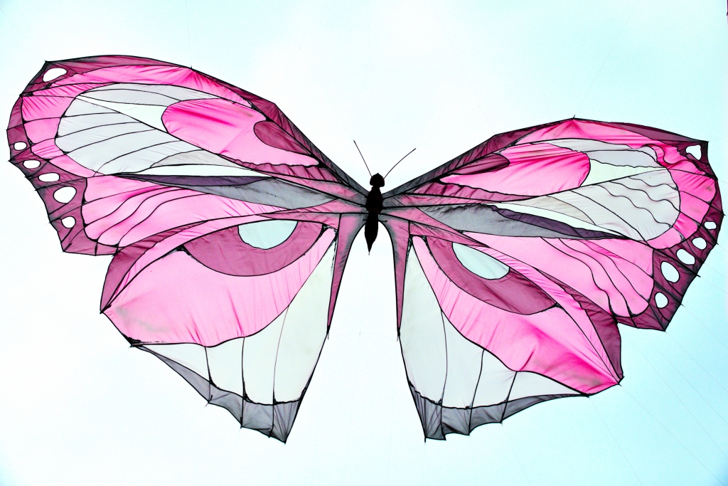 Farfalla