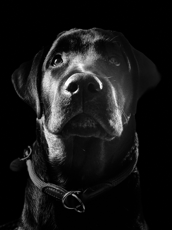 That nose