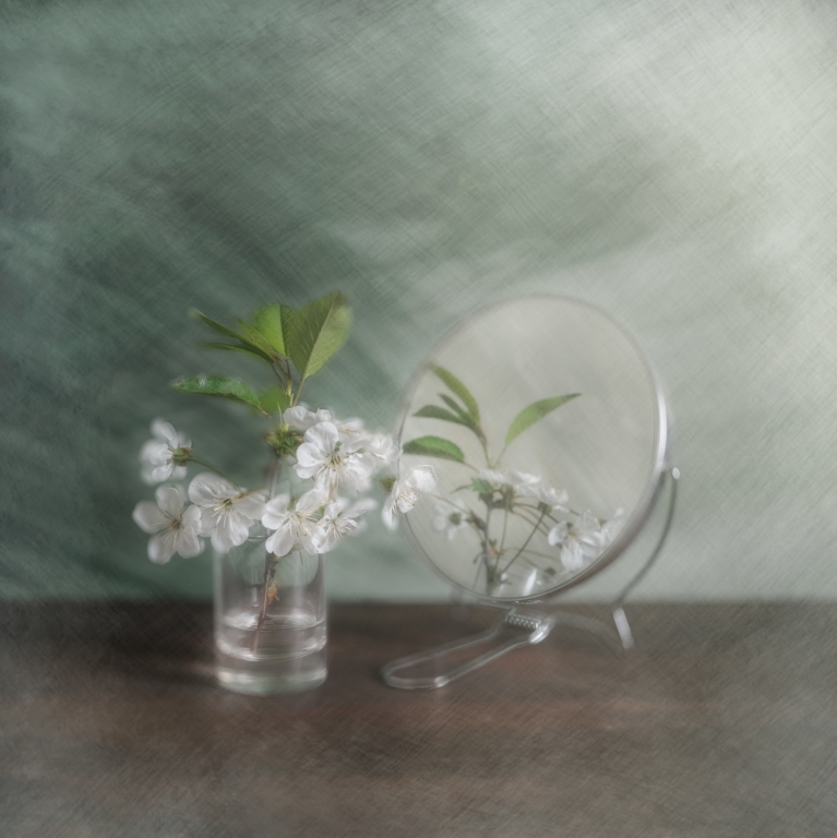 Cherry flowers