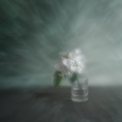 Spring dreams