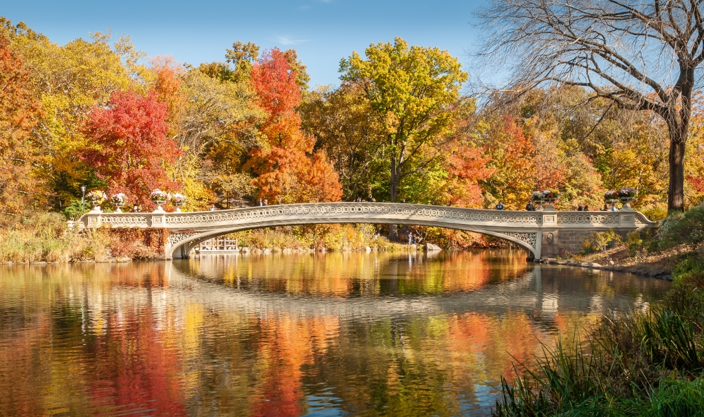 Ponte a Central Park