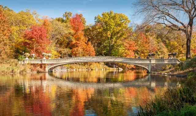 Ponte a Central Park