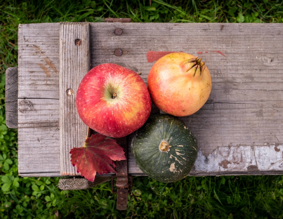 Frutti dell'autunno