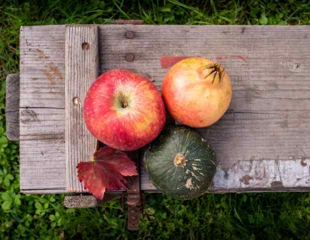 Frutti dell'autunno · laurabazzan
