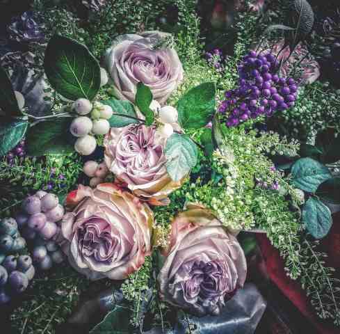 Fiori di autunno