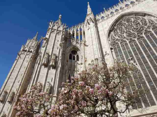 Milano - Duomo in fiore