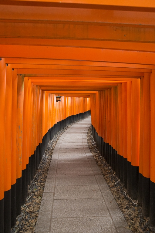 Torii road