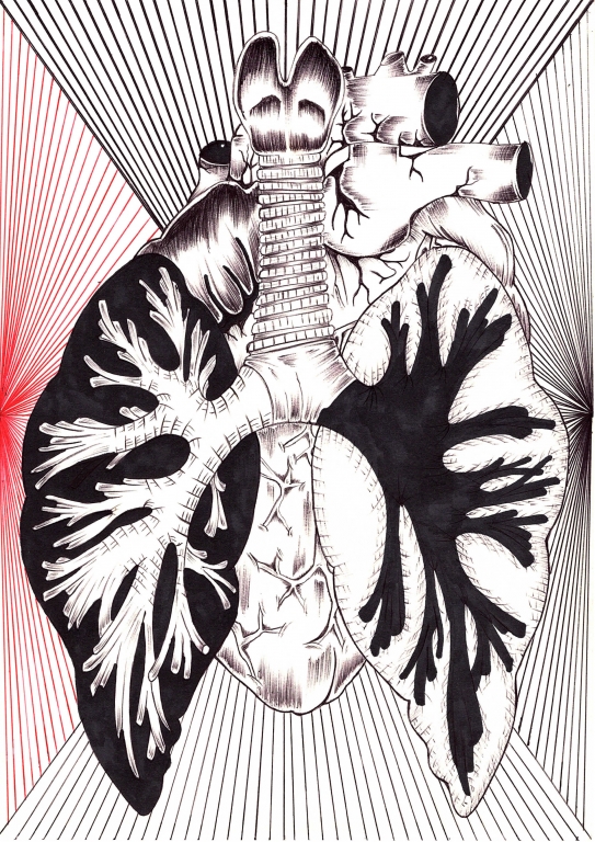 Anatomia