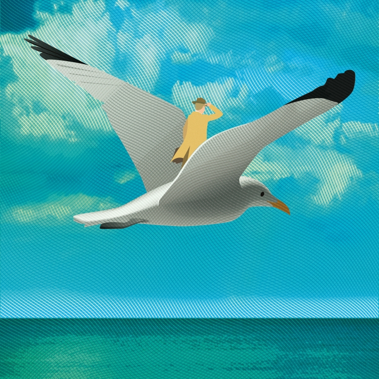 Flydream