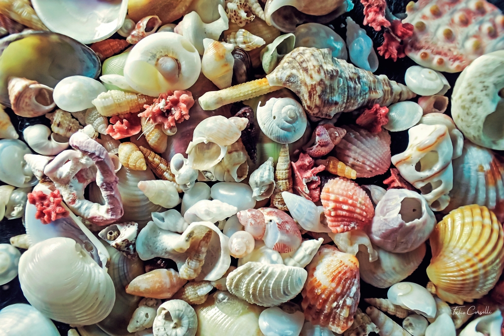 The Color of the Sea