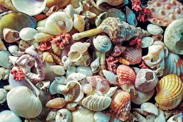 The Color of the Sea