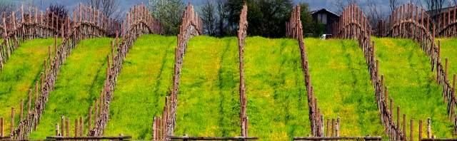 Onde in collina