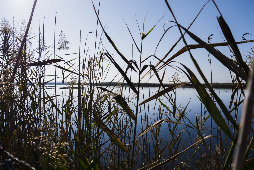 Nel silenzio dell'oasi naturale