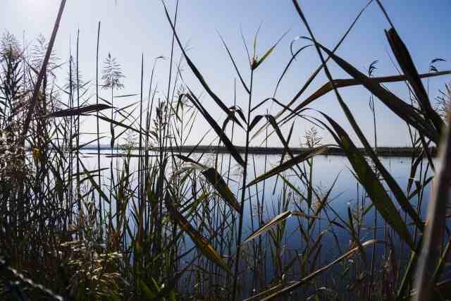Nel silenzio dell'oasi naturale