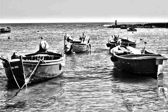 Barche di pescatori